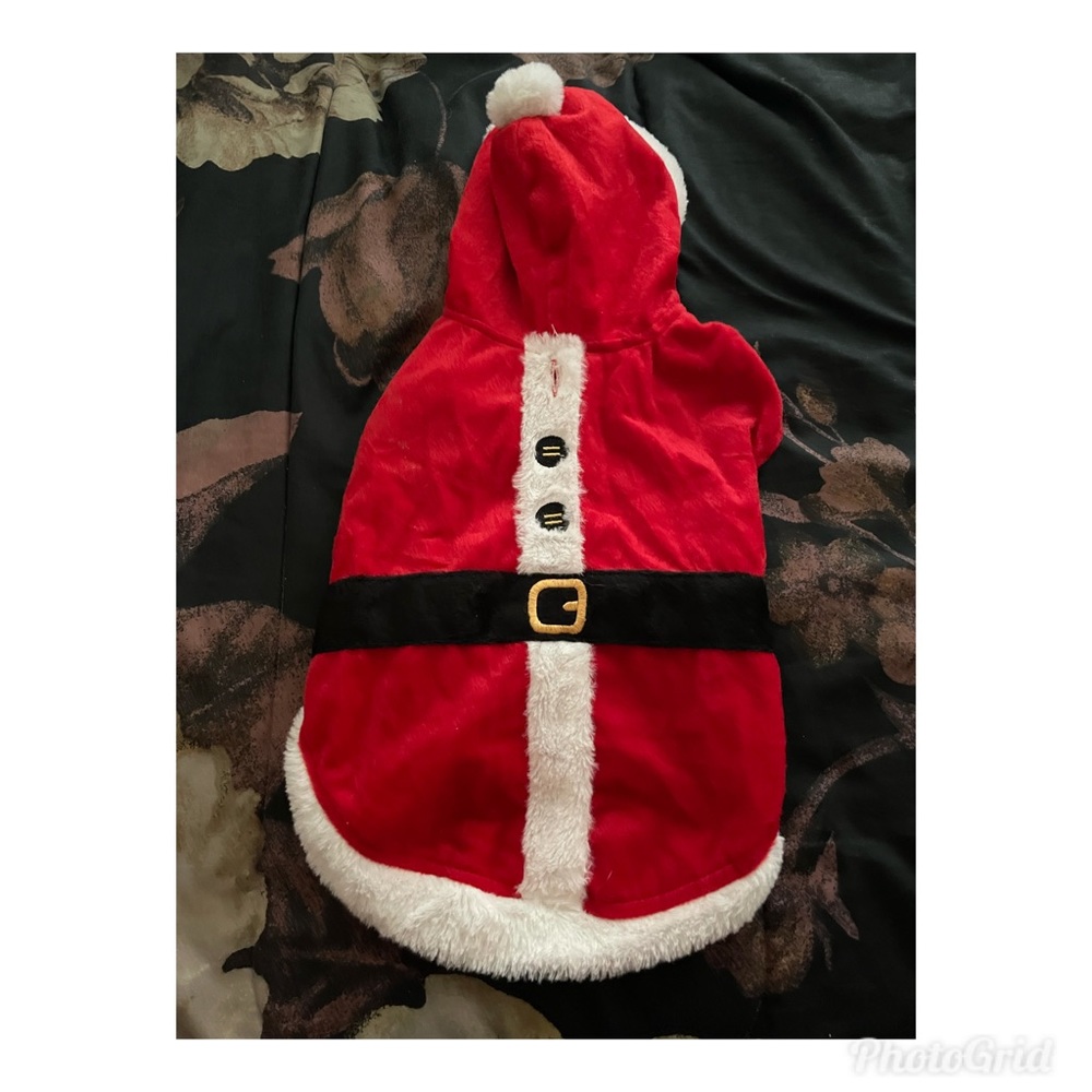 Dog Santa’s outfit 🎅🐶🐾